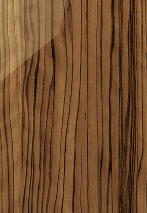 Light Wood Gloss cabinet door sample