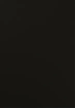 True Black Matte cabinet door sample